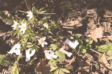 The word APRIL in paper letters is on a background of the first spring flowers. Trees in the forest.