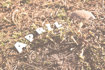 The word APRIL in paper letters is on a background of spring grass. Trees in the forest.