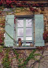 Fototapeta na wymiar Window with faded shutters and ivy