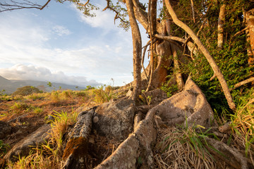 Eine Reise durch das wundervolle Costa Rica.