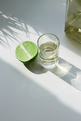tequila and lime in sunny Day. strong drinks still life
