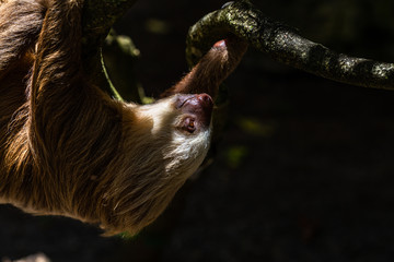 Fototapeta premium Eine Reise durch das wundervolle Costa Rica.