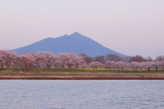 66 Best 母子島 Images Stock Photos Vectors Adobe Stock