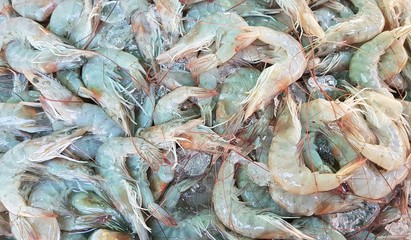 fresh shrimp in the market_01