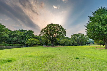 Kitanomaru Park, Tokyo, Japan