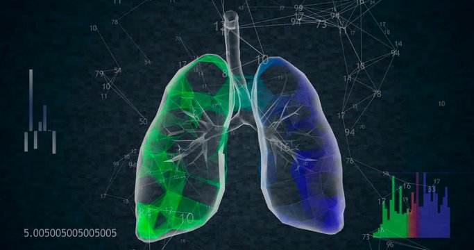 Rotating 360 low polygonal lungs 3D model on black background with animated numbers. 4k
