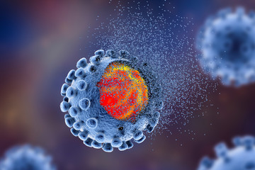 Destruction of SARS-CoV-2 virus, concept of COVID-19 treatment and prevention