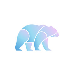 vector illustration of a bear