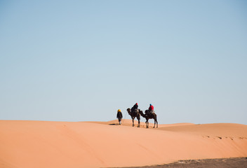 Fototapeta na wymiar Dos camellos y una persona viajando por el desierto con un gran cielo azul