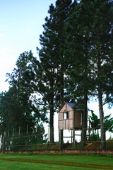 tree house in the woods