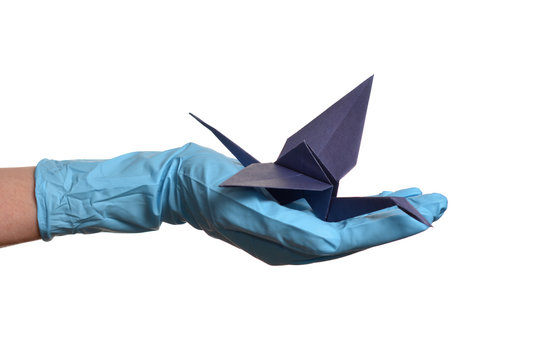 Origami paper crane in hand with rubber gloves over white