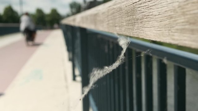 Cobwebs blow in the breeze on a bridge as a woman cycles past in slow motion on a sunny day in Germany