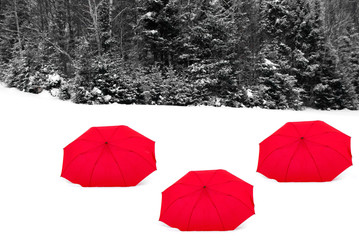 Multiple Red Umbrellas on White Snow with Forest Background