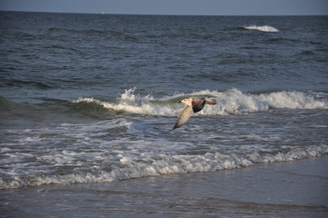 power of sea