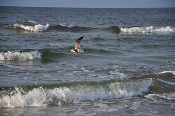 power of sea © Rafal