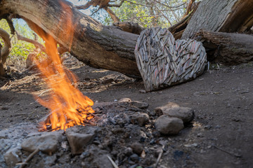 heart, tree, wood, nature, fire