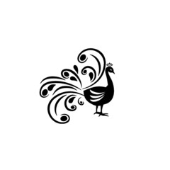Peacock icon silhouette Logo design isolated on white background