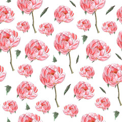 Pink peony floral seamless pattern on white