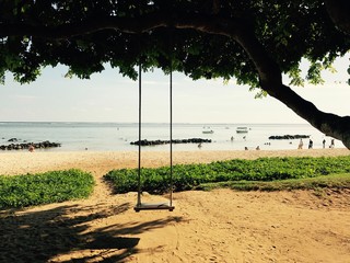Dream beach with trees and swing on sand and ocean
