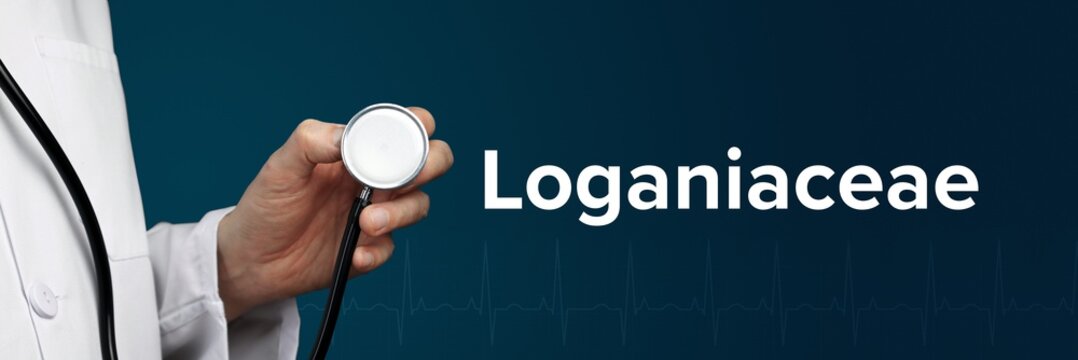 Loganiaceae. Doctor in smock holds stethoscope. The word Loganiaceae is next to it. Symbol of medicine, illness, health