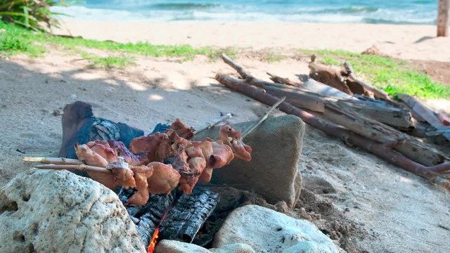 
cooking chicken on a bonfire on sticks stones, picnic on the beach by the ocean on a sunny day. handmade bonfire made of sticks, logs, sand around,  blue sea on background