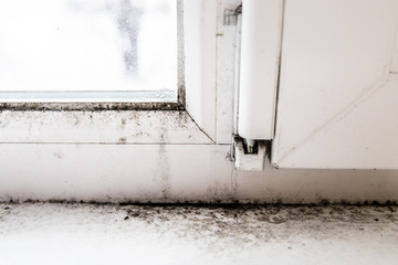 mold in the corner of the window.