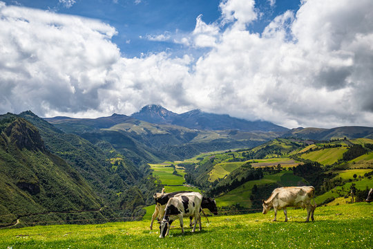 Eine Reise durch das tolle Ecuador.