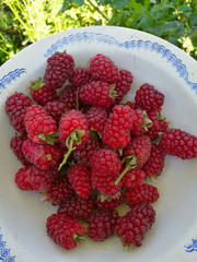tasty ripe red raspberries on  blurry background