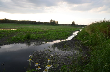 Wysychający strumyk © MK-MOVIE