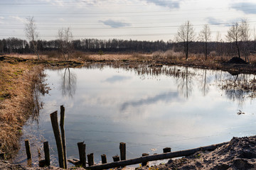 A small pond in the forest with a visible reflection of the sky on the water surface and overgrown with rushes.
