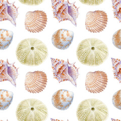 Marine seamless patern of sea shells. Watercolor illustration for textile, greeting cards,