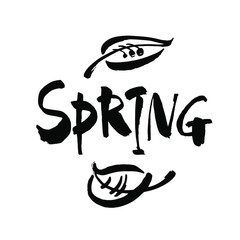 Obraz premium Spring Brush Pen lettering isolated on background. Handwritten vector Illustration.