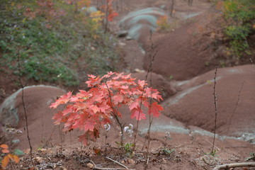 
red earth with furrows after rainwater