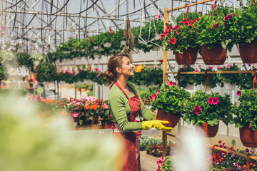 Florists women working with flowers in a greenhouse