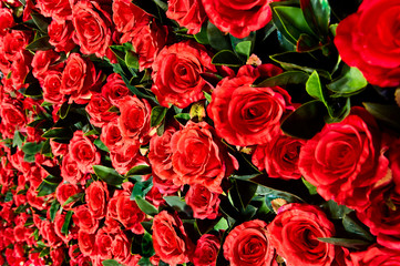 Flower wall, lots of roses