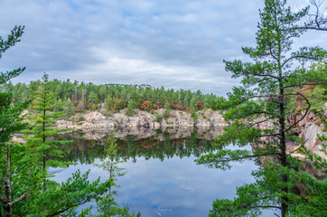 Obraz premium Forest lake
