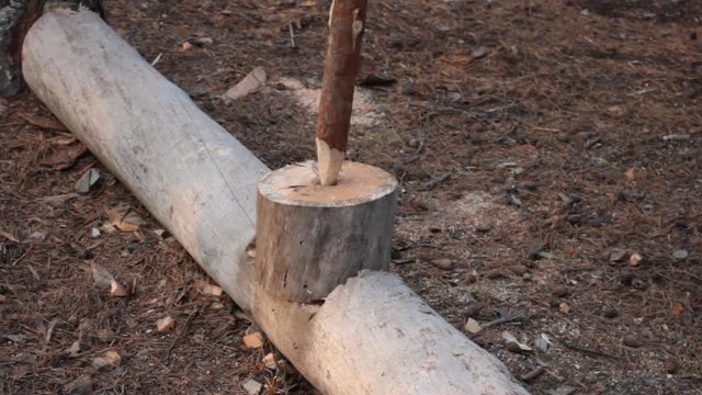 Demonstration video of getting fire by rotating (drilling) with a wood stick. Copying the way of life of tribesman and survival lessons in nature. Series of film clips