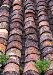 OLD ROOF