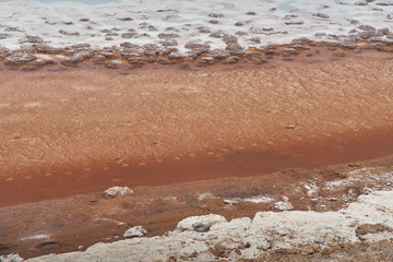 Flamingos. San Pedro de Atacama, Antofagasta - Chile. Desert. Baltinache Lagon.