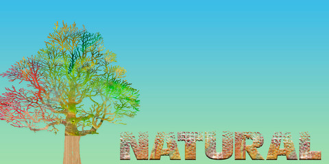 Ilustración con un árbol y el título natural con un fondo suave.