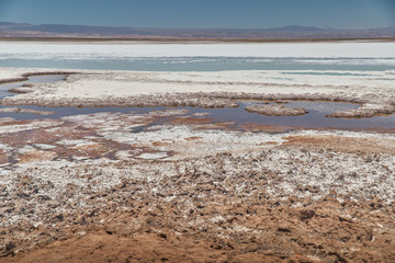 Flamingos. San Pedro de Atacama, Antofagasta - Chile. Desert. Baltinache Lagon.