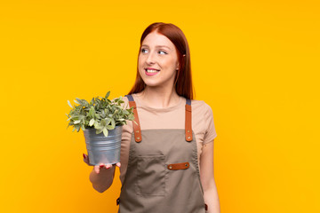 Young redhead gardener woman holding a plant over isolated yellow background laughing