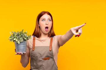 Young redhead gardener woman holding a plant over isolated yellow background pointing away