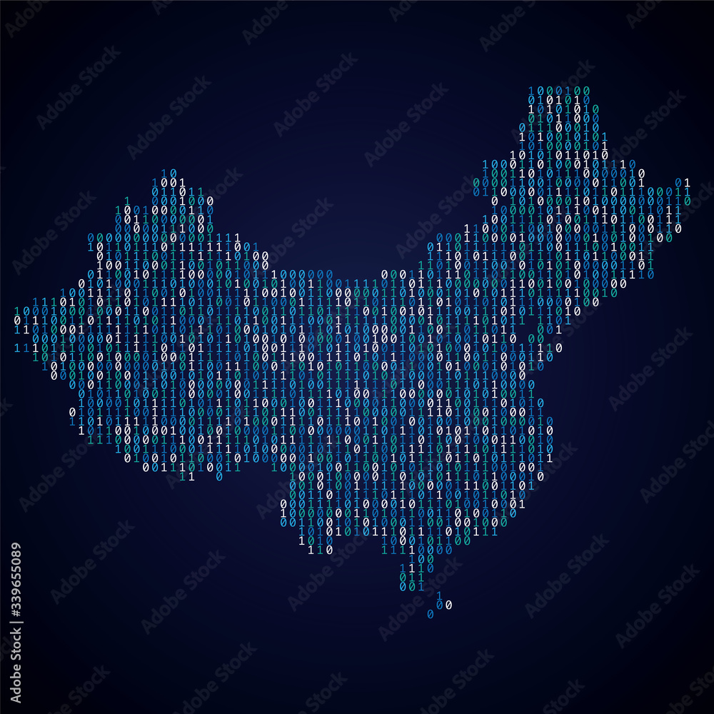 Poster china country map made from digital binary code