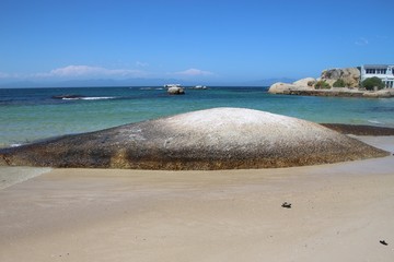 Beautiful rocks, polished by the wind, sand and sea, on Boulders Beach in Simon’s Town, South Africa, Africa.