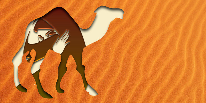 Sahara indumentaria online