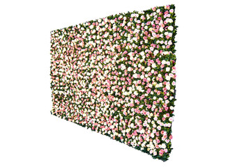 Flower wall, lots of roses