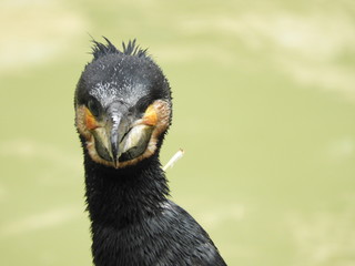 Urlaubsbilder