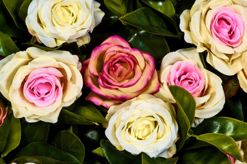 Flower wall, lots of roses