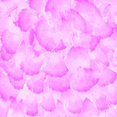 Fototapeta premium Pink background in the form of feathers.